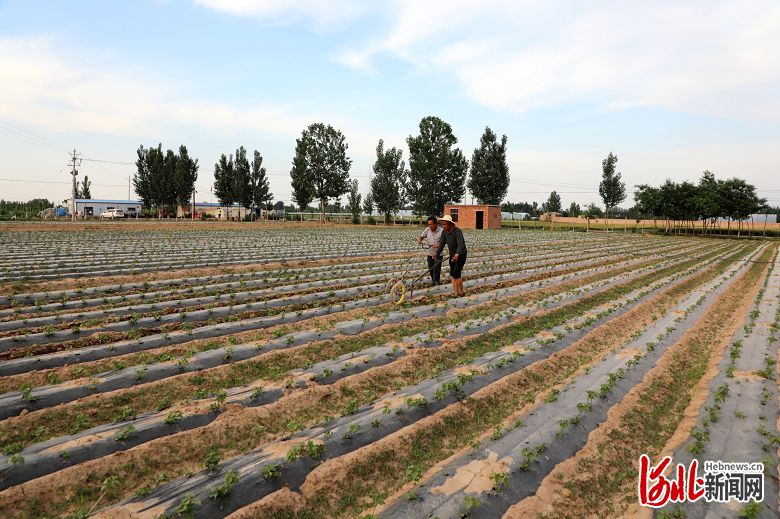 关于印发中国农业发展银行边境贫困国营农场扶贫贴息贷款管理办法的通知