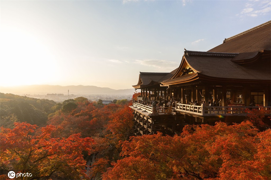 2020年投资京都有什么亮点呢？看完惊呆了！