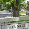 汉密尔顿房地产预测 2020年卖方市场房地产价格上涨3.8％